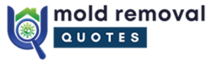 mold removal kent